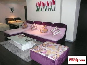 卓越生活，触手可及 主角家具全系列产品深度展示